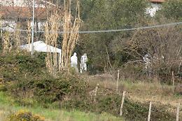 Femminicidio di Anguillara, oggi l&rsquo;autopsia su Federica Torzullo