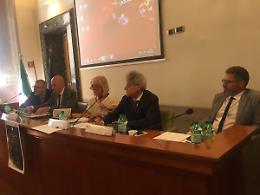 Geografia giudiziaria: &laquo;Riforma complessa ma necessaria...&raquo;