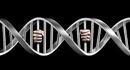 Processo mediatico e prova scientifica: il mix micidiale