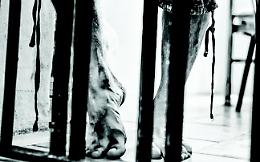 Suicidi, si continua a morire dietro le sbarre