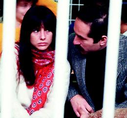 Br, la fabbrica del complotto non riposa mai