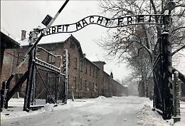 Amalia Fleischer, l&rsquo;avvocata bolzanina che mor&igrave; ad Auschwitz