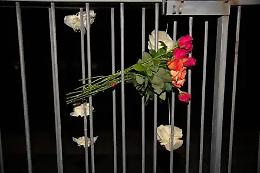 L&rsquo;odio al posto delle idee