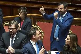 Legittima difesa, s&igrave; definitivo: Salvini festeggia, mutismo M5s