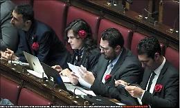 La scelta necessaria per colmare un vuoto legislativo