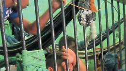 Guerra tra gang in carcere 15 vittime in Amazzonia