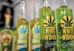 La sentenza la corte di Cassazione: &laquo;&egrave; illegale vendere cannabis light e i suoi derivati&raquo;