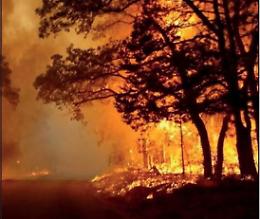 La deforestazione in Africa &egrave; peggiore che in Amazzonia, ma nessuno ne parla