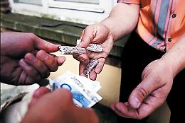 Visioni opposte di Lega e + Europa sulla detenzione delle droghe