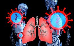 E alla fine tocca sempre alla scienza salvarci: ecco la lezione del virus