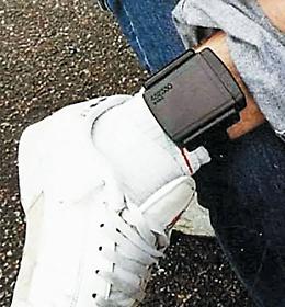 Il giallo dei braccialetti disponibili &egrave; arrivato in Parlamento