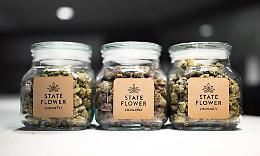 &laquo;Marijuana bene essenziale&raquo;. San Francisco tiene aperta la filiera