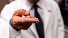 Il vaccino di un italiano supera la sperimentazione animale