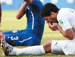 Caso Suarez, la Figc apre un'inchiesta