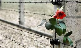 &ldquo;Il respiro di Shlomo&rdquo;. L&rsquo;orrore della Shoah negli occhi di chi l&rsquo;ha vissuta