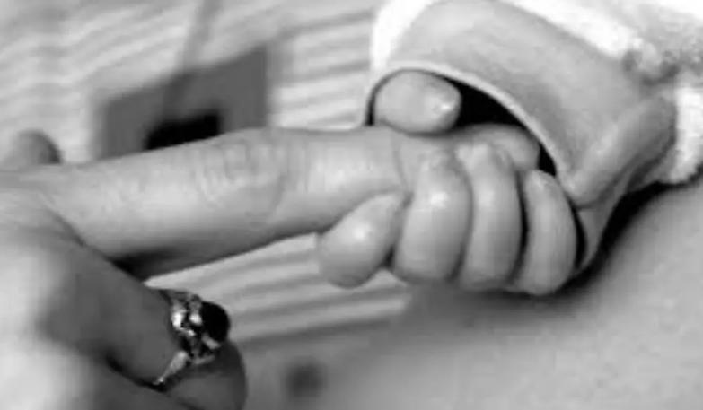 Gli avvocati dell'associazione &laquo;Cammino&raquo; discutono di famiglia e madri