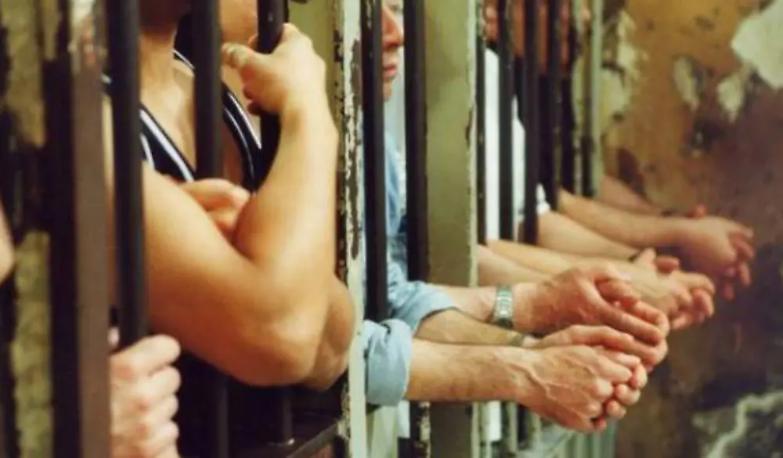 A Trieste si sta in cella anche in compagnia delle cimici