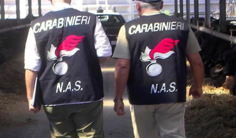 Indag&ograve; sullAsl, ora ne diventa direttore: strano caso in Molise