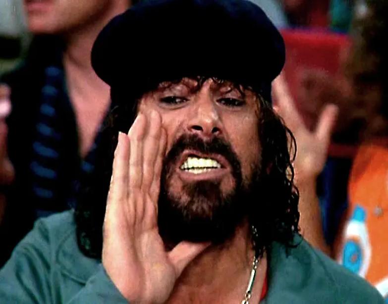 Ma "vaffa..." si pu&ograve; dire? Risponde il dizionario degli insulti