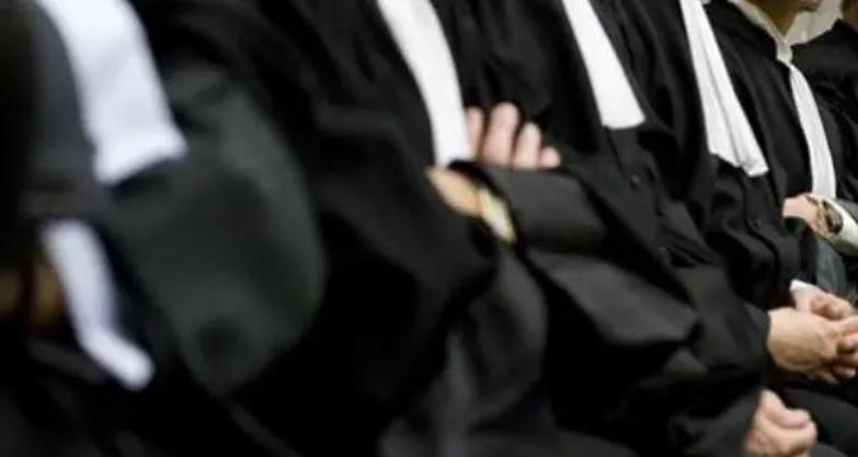 Una nuova forza in campo: l'avvocatura