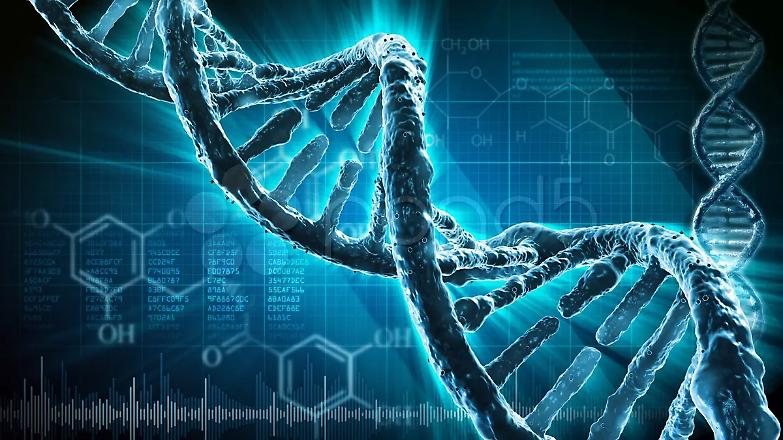 Il Dna, un romanzo di formazione