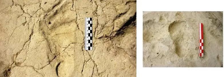 Il bimbo che giocava un milione di anni fa...