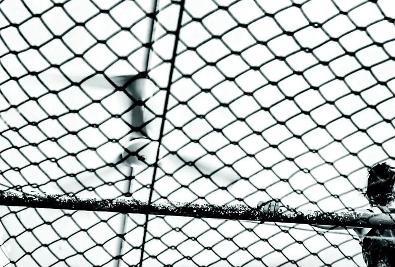 Angelo &egrave; sottoterra. Politica e giornali son contenti cos&igrave;...