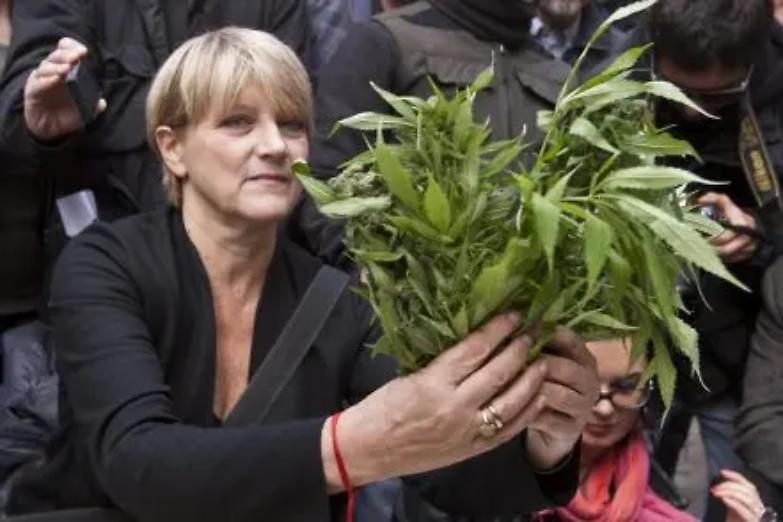 Bernardini: &laquo;Che errore abbandonare l&rsquo;idea di legalizzare la cannabis&raquo;