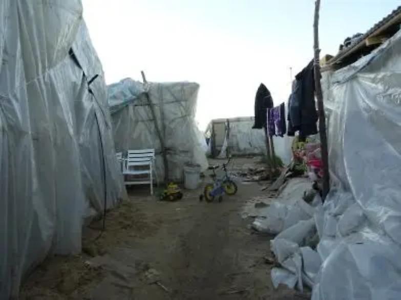 Tra urina e plastica bruciata...aspettando la "soluzione finale"