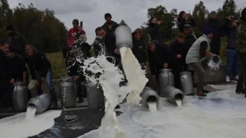Urne aperte in Sardegna, ma la protesta dei pastori non si ferma