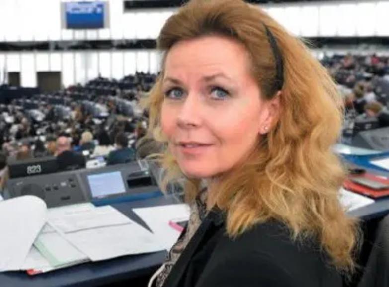 La Ue: ricevibile la petizione di Giulio Petrilli