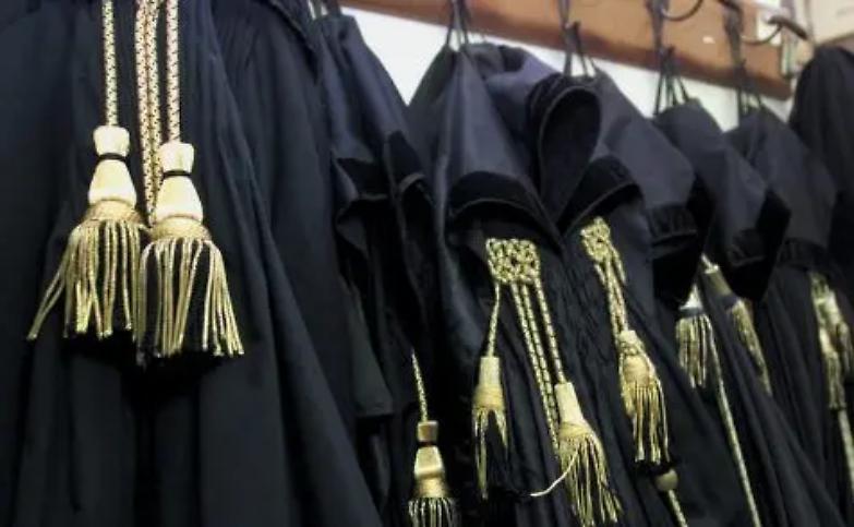 Professioni, politica e cittadinanza