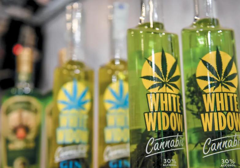 La sentenza la corte di Cassazione: &laquo;&egrave; illegale vendere cannabis light e i suoi derivati&raquo;