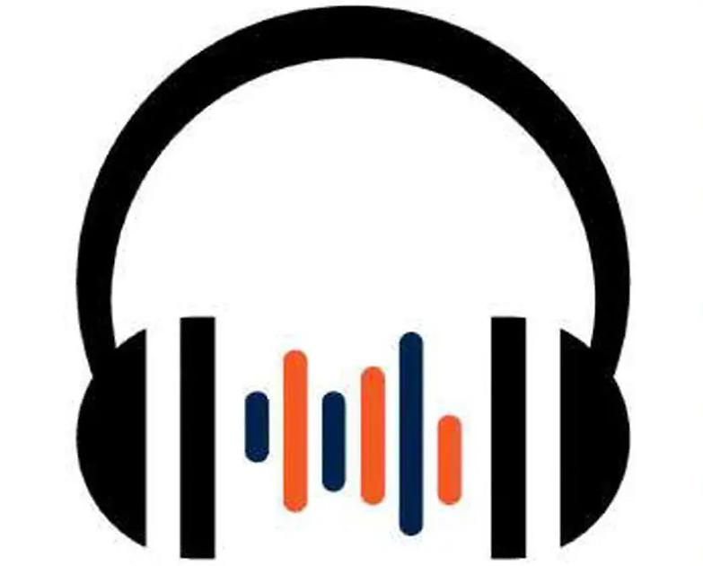 Il destino ornitologico del premier: cigno zoppo ovvero anatra nera