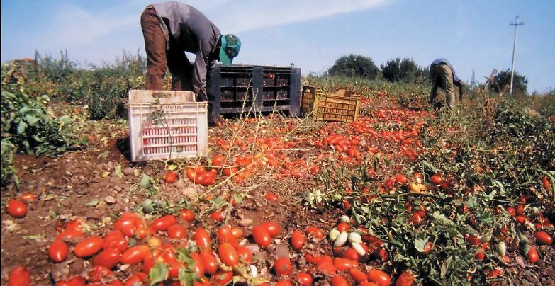 Migranti, sfruttati e odiati ma senza di loro affondiamo