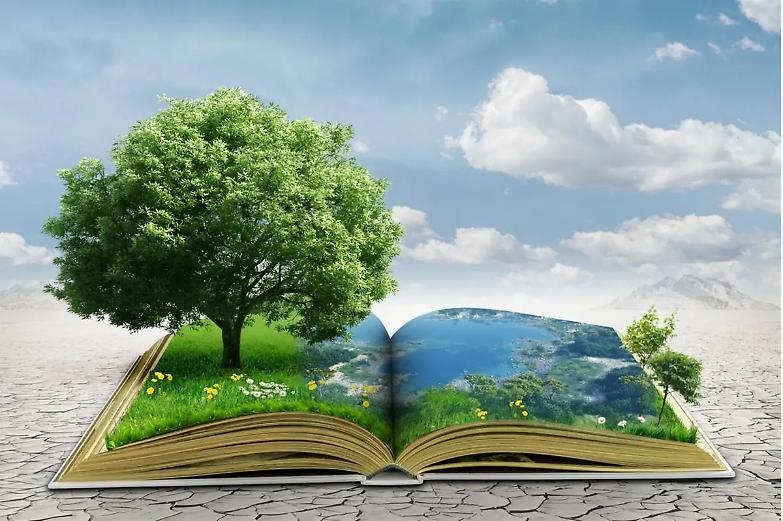 La tutela globale dell&rsquo;ambiente, dilemma da risolvere con il diritto amministrativo