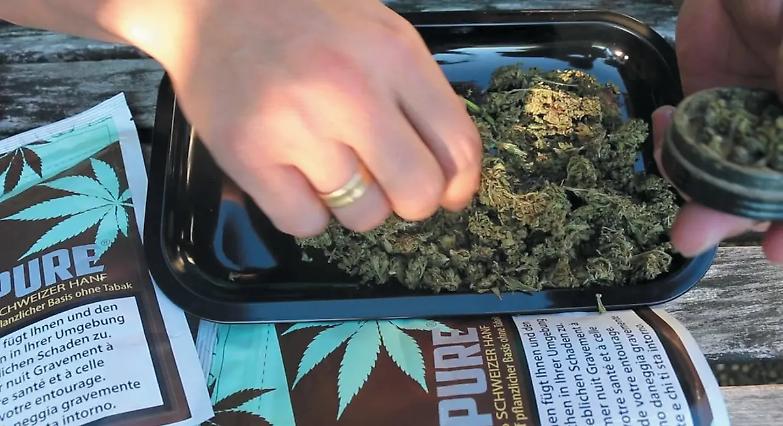 Cassazione: &egrave; reato vendere cannabis con efficacia drogante