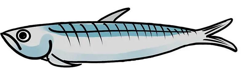 La piazza delle sardine. Ovvero la forza potente del silenzio che pu&ograve; risollevarci