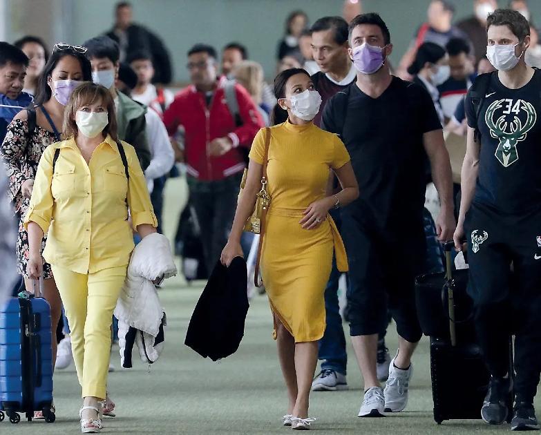 Serpente- pipistrello-uomo. Cos&igrave; &egrave; nato il Coronavirus