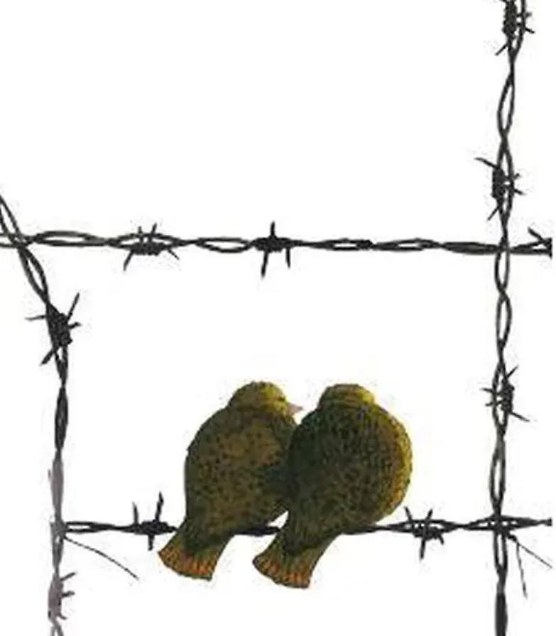 Edith Bruck: &laquo;Il razzismo? Un gioco vuoto e stupido&raquo;