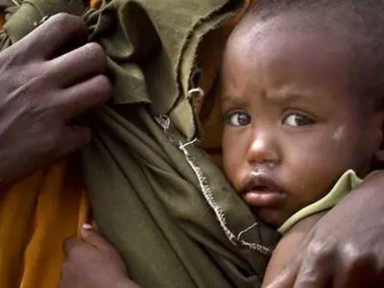 Miliardi di cavallette nel Corno d&rsquo;Africa senza cibo in 20 milioni: lo ignoriamo?