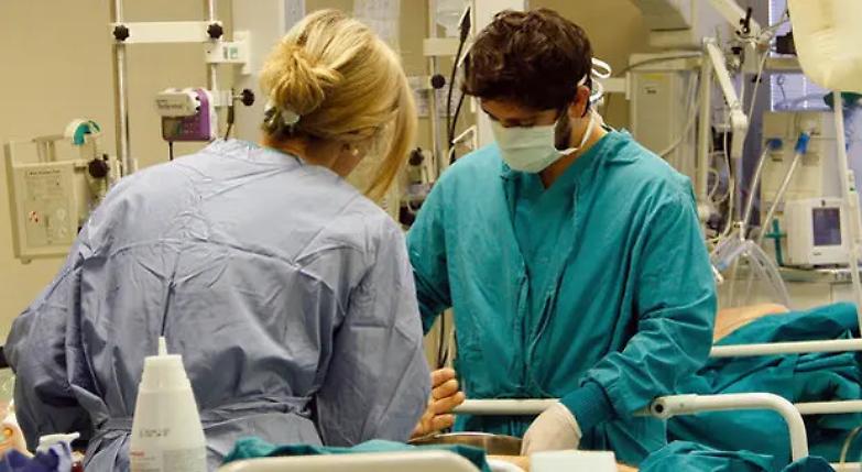 Virus a quota 26mila. Ma l'Aifa inizia i test sul farmaco anti artitre