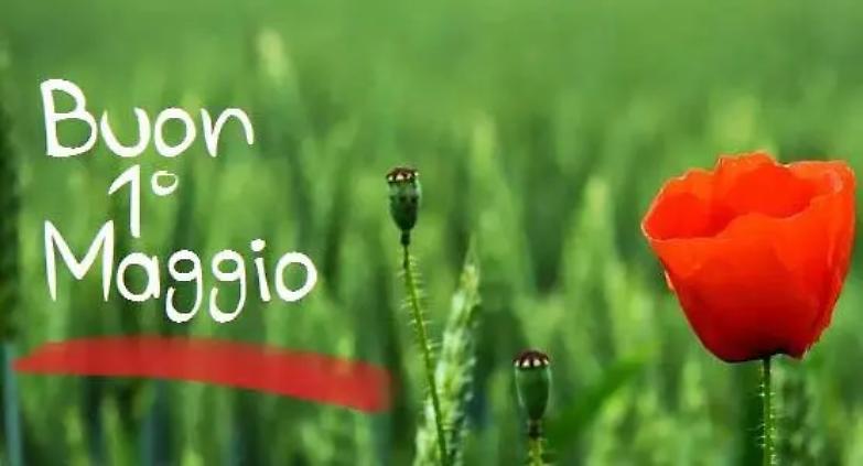 Auguri di buon primo maggio a tutti i "forgotten people": che possano tornare ad esistere...