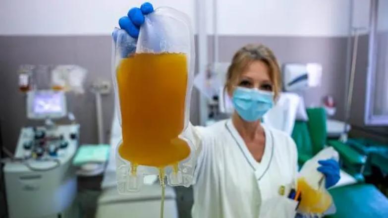 "Serve il tuo plasma". Zaia scrive ai guariti dal coronavirus