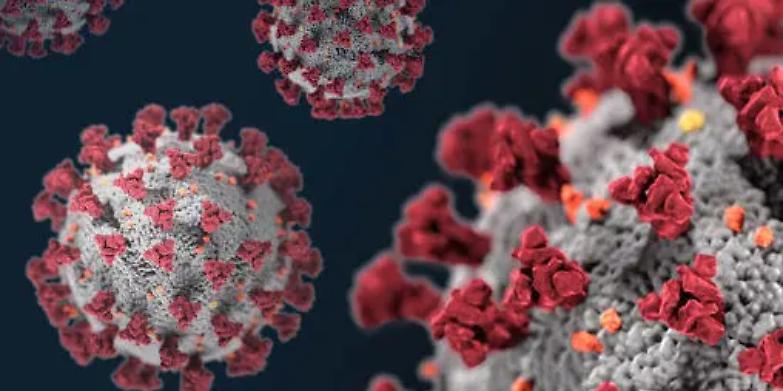 Questa pallina rossa sar&agrave; l&rsquo;icona universale del Ventunesimo secolo