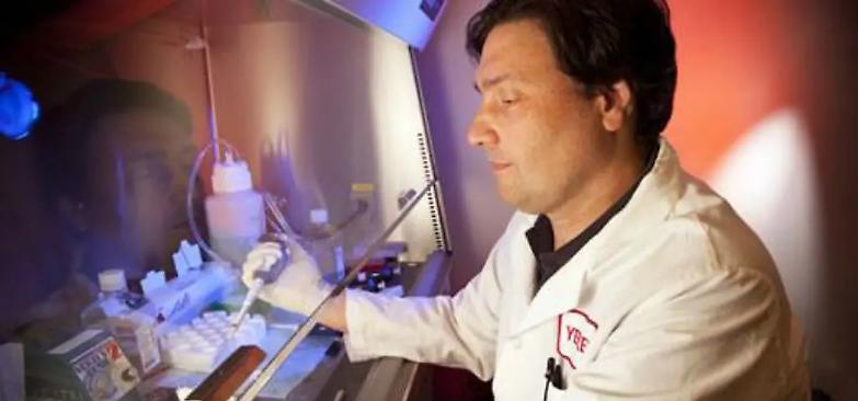 Il virologo Silvestri: &laquo;La ritirata del Covid continua&raquo;