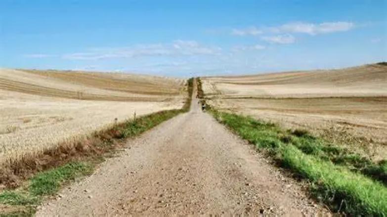 Riparte il cammino di Santiago, faticoso pellegrinaggio che gronda di umanesimo