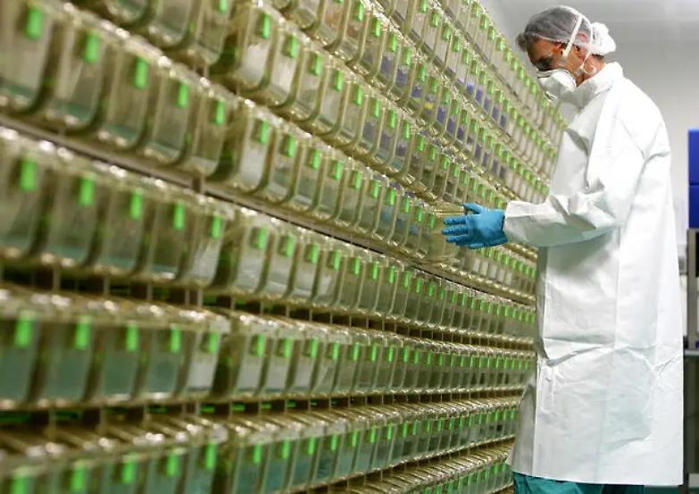 &laquo;Vaccino obbligatorio? Cos&igrave; rischiamo la degenerazione dello Stato di diritto&raquo;