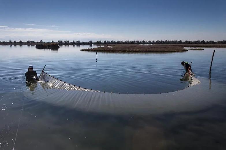 La nuova agenzia della Laguna di Venezia va messa sotto il controllo della Presidenza del Consiglio