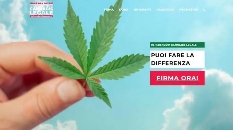 Cannabis: raggiunte le 500 mila firme per il referendum